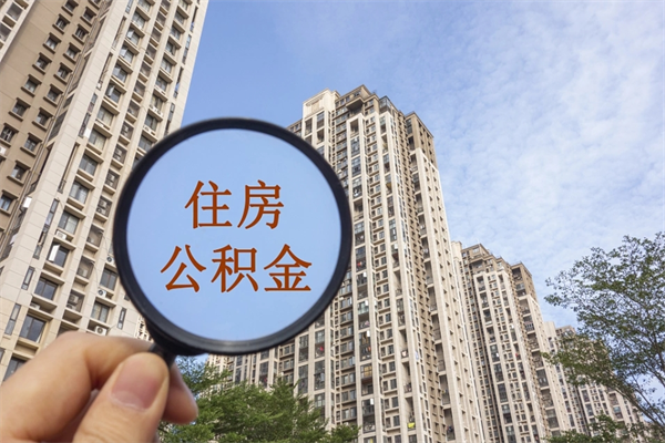 南阳公积金代取（南阳公积金提取中介）