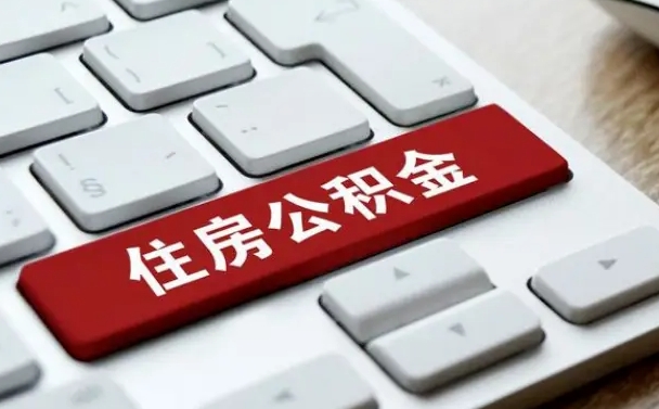 南阳广州公积金提取（南阳广州公积金提取流程）